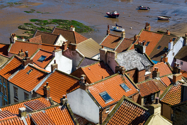 Red rooftops at Staithes, North Yorkshire Picture Board by Andrew Kearton
