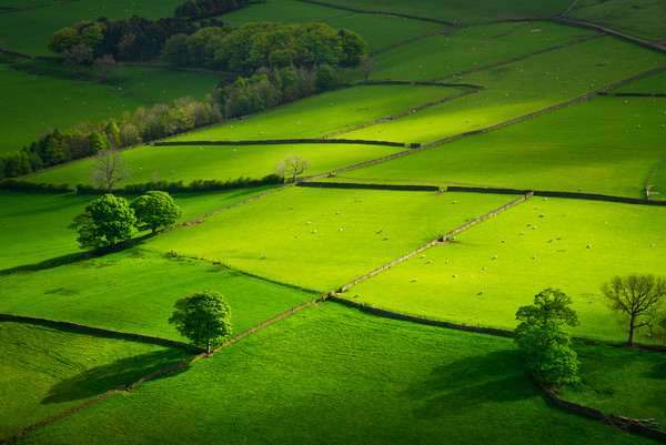 Green fields at Hayfield, Derbyshire Picture Board by Andrew Kearton