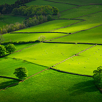 Buy canvas prints of Green fields at Hayfield, Derbyshire by Andrew Kearton