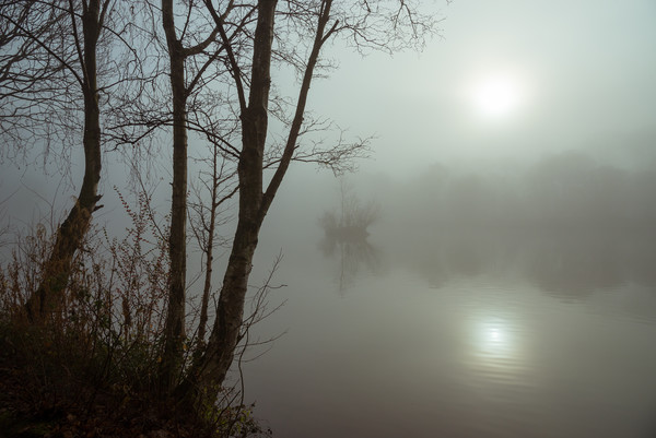 Misty autumn morning by the lake Picture Board by Andrew Kearton