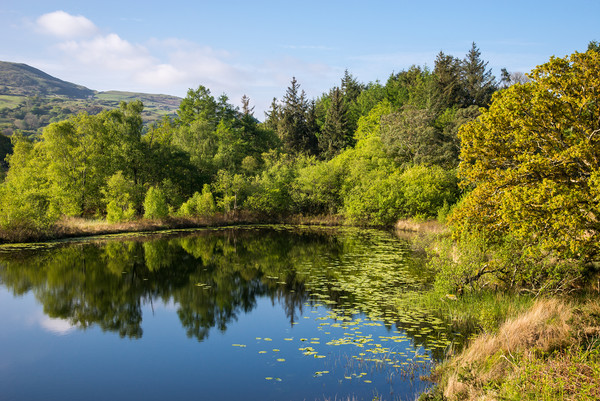 Llyn Tecwyn Isaf, North Wales Picture Board by Andrew Kearton