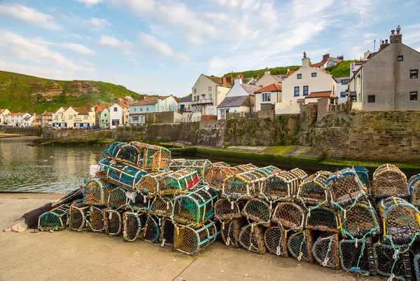 Staithes harbour, North Yorkshire, England Picture Board by Andrew Kearton