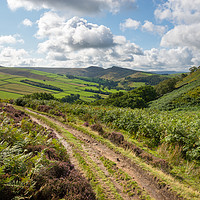 Buy canvas prints of Path in the hills near Hayfield, Derbyshire by Andrew Kearton