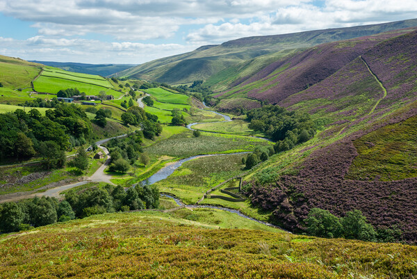 Snake Pass, Derbyshire, England Picture Board by Andrew Kearton