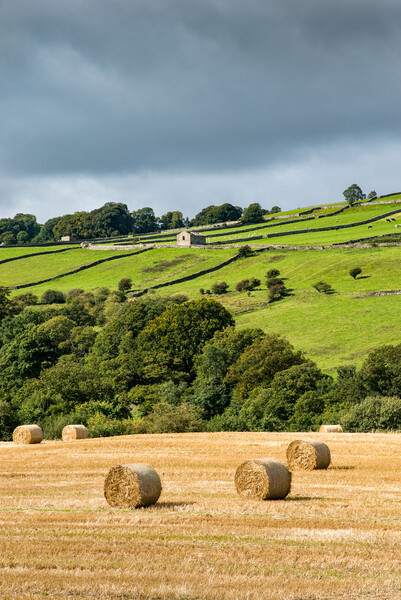 Hay bales in the Yorkshire Dales Picture Board by Andrew Kearton