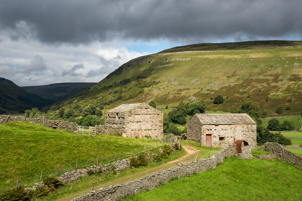 Old stone barns in Swaledale, North Yorkshire Picture Board by Andrew Kearton