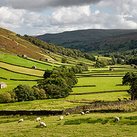 Buy canvas prints of Upper Swaledale, Yorkshire Dales by Andrew Kearton