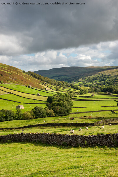 Upper Swaledale, Yorkshire Dales Picture Board by Andrew Kearton
