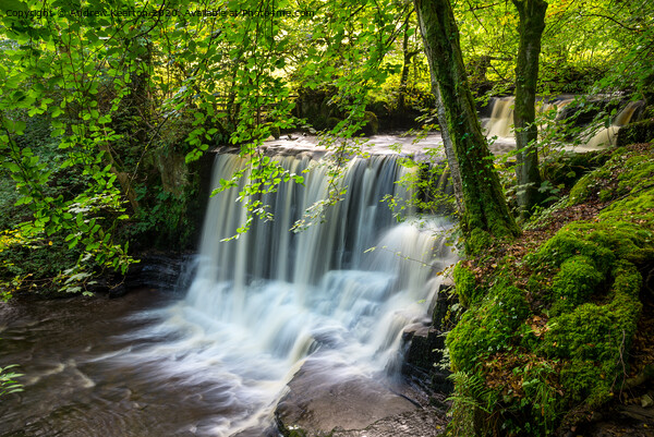Crackpot Falls, Swaledale, Yorkshire Dales Picture Board by Andrew Kearton