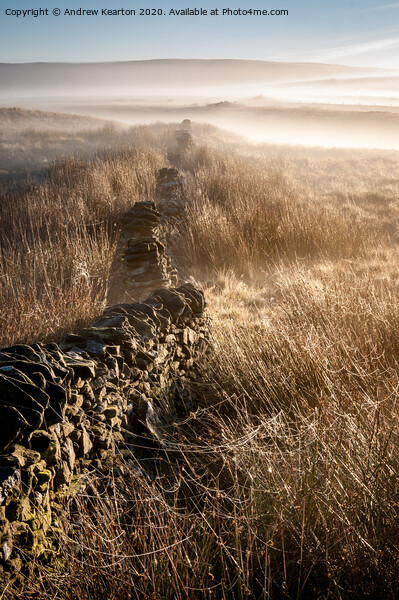 Mist and spider webs on the moors of the Peak Dist Picture Board by Andrew Kearton