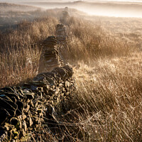 Buy canvas prints of Mist and spider webs on the moors of the Peak Dist by Andrew Kearton