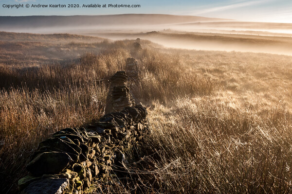 Mist and spider webs on the Pennine moors  Picture Board by Andrew Kearton