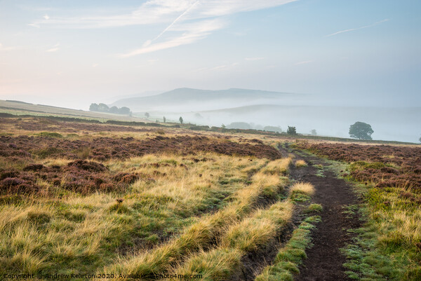 Misty autumn morning near Rowarth, Derbyshire Picture Board by Andrew Kearton