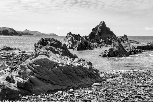 Rock formations at Traeth Llyfn, Pembrokeshire, Wa Picture Board by Andrew Kearton