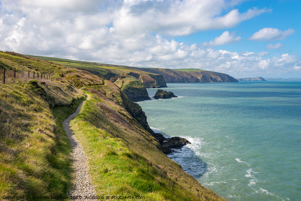 Coast path at Ceibwr bay, Pembrokeshire, Wales Picture Board by Andrew Kearton