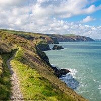 Buy canvas prints of Coast path at Ceibwr bay, Pembrokeshire, Wales by Andrew Kearton