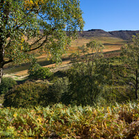 Buy canvas prints of Autumn colour in Chew Valley near Dove Stone reservoir, Peak District by Andrew Kearton