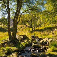 Buy canvas prints of Chew Brook near Dove Stone reservoir, Greenfield by Andrew Kearton