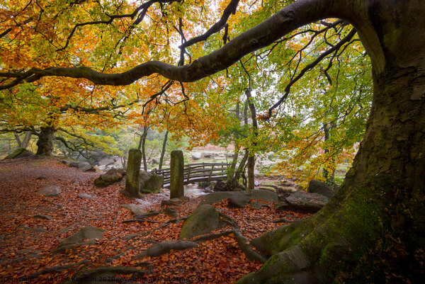 Burbage Brook in autumn, Peak District, Derbyshire Picture Board by Andrew Kearton
