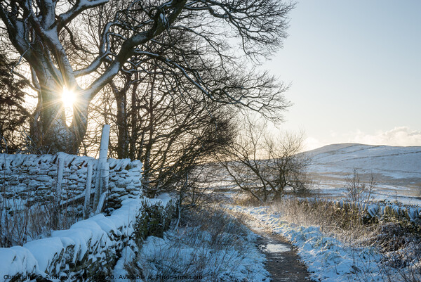 Path to Lantern Pike on a winter morning Picture Board by Andrew Kearton