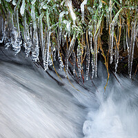 Buy canvas prints of Icicles hanging over a moorland stream by Andrew Kearton