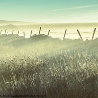Buy canvas prints of Misty morning on the moors by Andrew Kearton