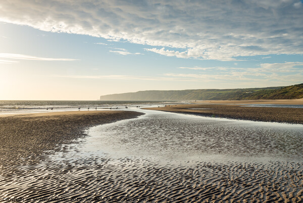 Filey Bay, North Yorkshire Picture Board by Andrew Kearton