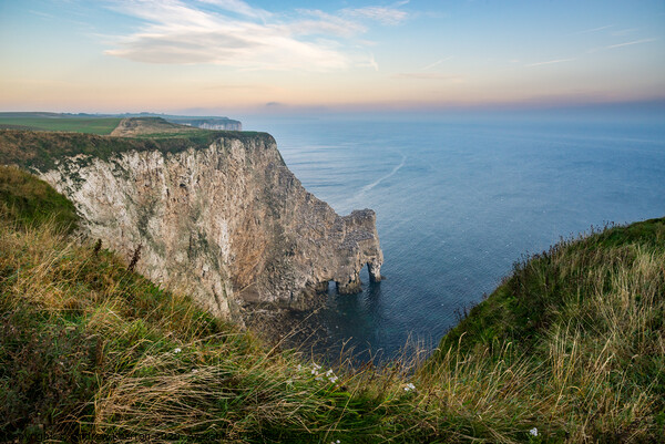 Bempton Cliffs at dawn Picture Board by Andrew Kearton