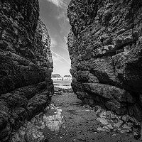 Buy canvas prints of High cliffs at Thornwick Bay, North Yorkshire by Andrew Kearton