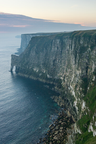 Bempton Cliffs at dawn, North Yorkshire Picture Board by Andrew Kearton