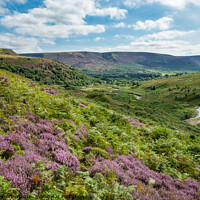 Buy canvas prints of Heather in the hills around Crowden, North Derbyshire by Andrew Kearton