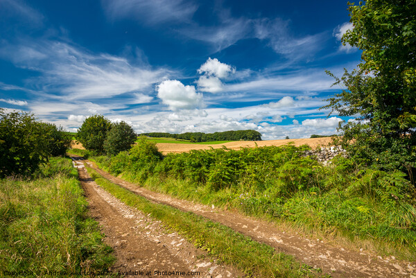 English countryside on a glorious summer day Picture Board by Andrew Kearton