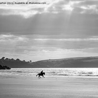 Buy canvas prints of Horse rider on Newport sands, Pembrokeshire by Andrew Kearton