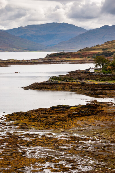 Isleornsay, Isle of Skye, Scotland Picture Board by Andrew Kearton