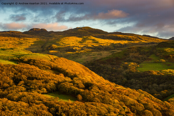 Autumn colour in hills near Harlech, North Wales Picture Board by Andrew Kearton