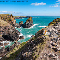 Buy canvas prints of Rugged coastline at Kynance Cove, Cornwall by Andrew Kearton