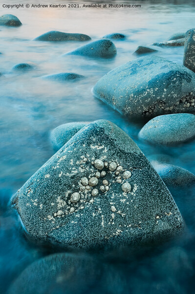 Rising tide around rocks at dusk Picture Board by Andrew Kearton