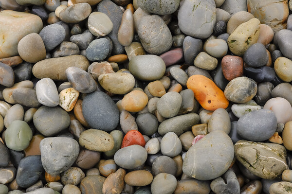 Smooth beach pebbles Picture Board by Andrew Kearton
