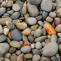 Buy canvas prints of Smooth beach pebbles by Andrew Kearton