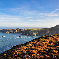 Buy canvas prints of Pwll Deri at sunrise, Pembrokeshire, Wales by Andrew Kearton