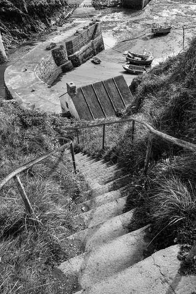 Steps down to Porthgain harbour, Pembrokeshire Picture Board by Andrew Kearton