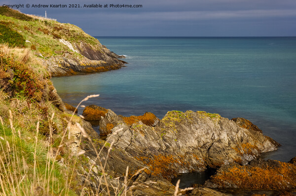 Rocky coastline at Newport Parrog, Pembrokeshire Picture Board by Andrew Kearton