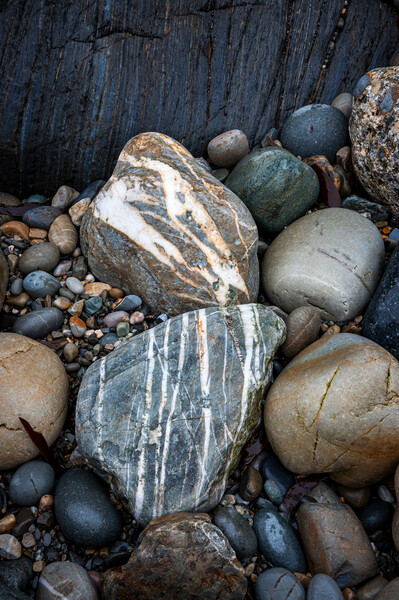 Colours in the rocks on a Pembrokeshire beach Picture Board by Andrew Kearton
