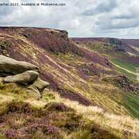 Buy canvas prints of Heather flowering on slopes of Kinder Scout, Peak District by Andrew Kearton