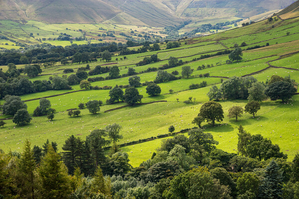 Green fields in the Vale of Edale, Derbyshire Picture Board by Andrew Kearton