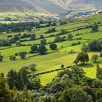 Buy canvas prints of Green fields in the Vale of Edale, Derbyshire by Andrew Kearton