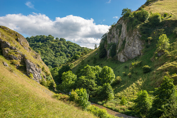 Summer in Dovedale, Peak District, England Picture Board by Andrew Kearton