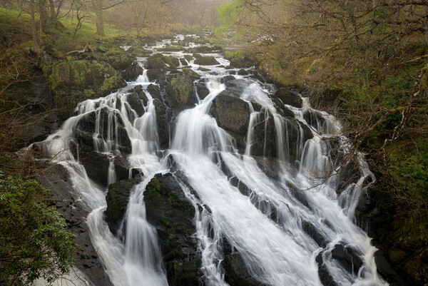 Swallow Falls, Betws-y-Coed, Snowdonia Picture Board by Andrew Kearton