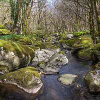 Buy canvas prints of The Afon Dulyn, Tal-y-Bont, North Wales by Andrew Kearton