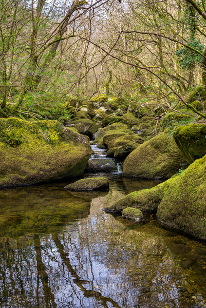 Rocky stream in the Conwy Valley, North Wales Picture Board by Andrew Kearton